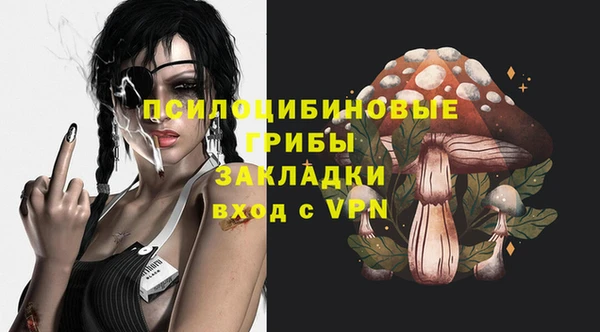 MESCALINE Аркадак