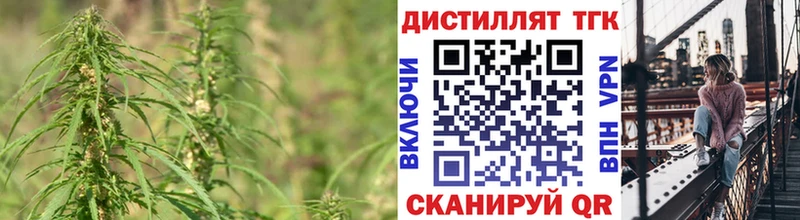 ТГК Wax  OMG   Павловская 