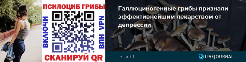 Галлюциногенные грибы прущие грибы  Павловская 